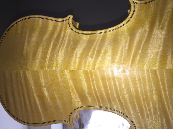 Baroque violin in progress Glair ground coat back