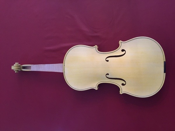 Baroque violin in progress First coat of gamboge front