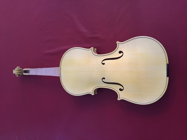 Baroque violin in progress Second coat of gamboge front