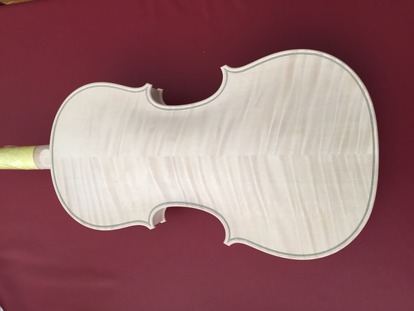 Baroque violin in the white close up of back