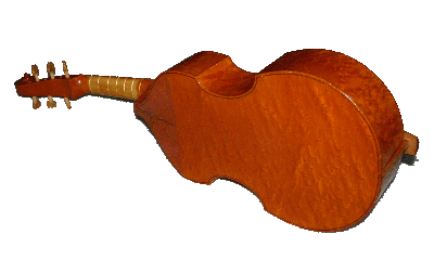 Bass Viol da Gamba