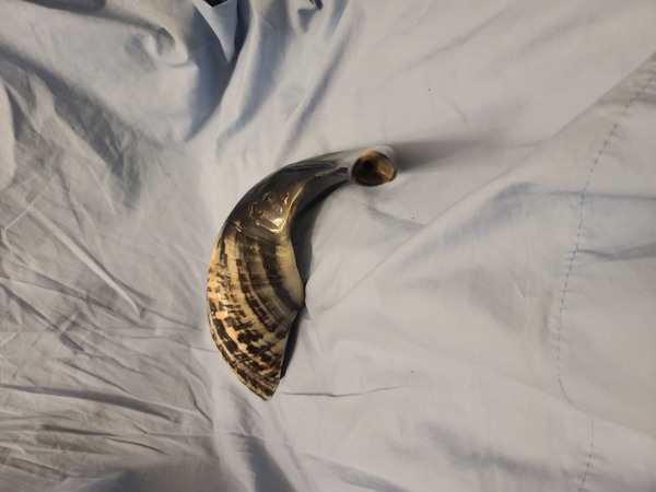 Shofar horn
