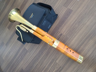 Bass horn by Jerome Wiss